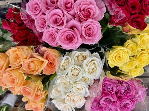 いらっしゃいませ